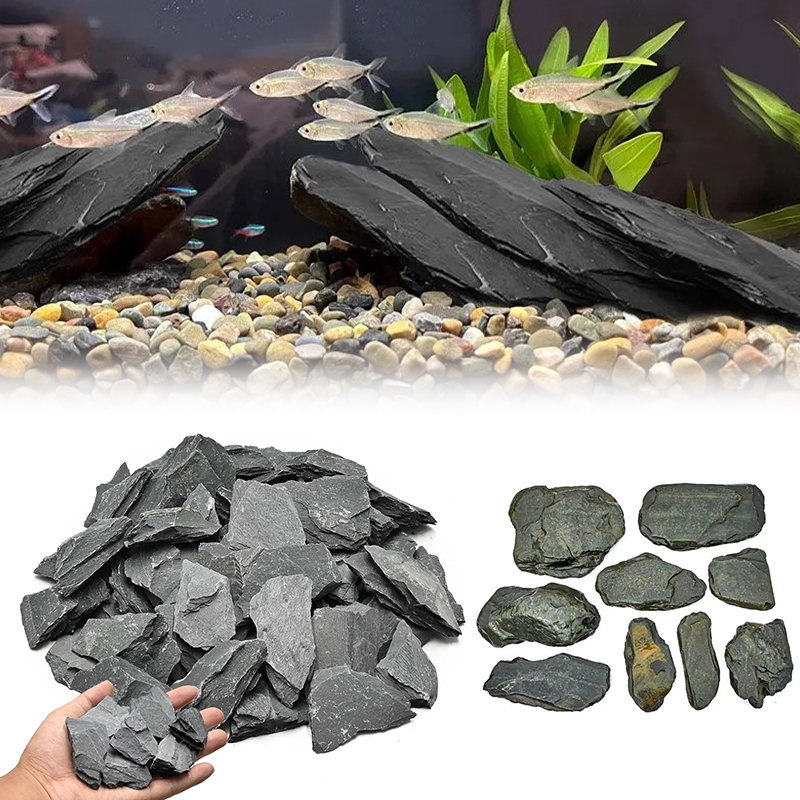 500/1000g Fish Tank Landscape  - Aquarium Marine Fish ulasan dan harga