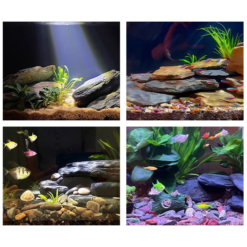 500/1000g Fish Tank Landscape  - Aquarium Marine Fish ulasan dan harga