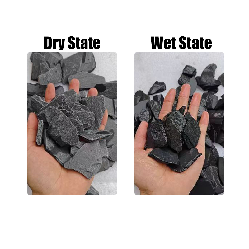 500/1000g Fish Tank Landscape  - Aquarium Marine Fish ulasan dan harga
