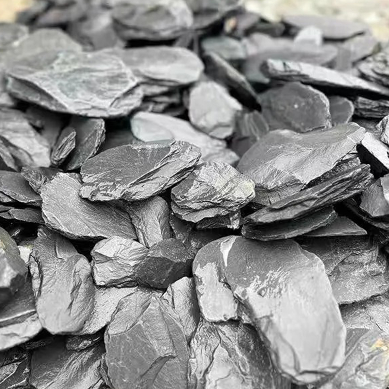 500/1000g Fish Tank Landscape  - Aquarium Marine Fish ulasan dan harga