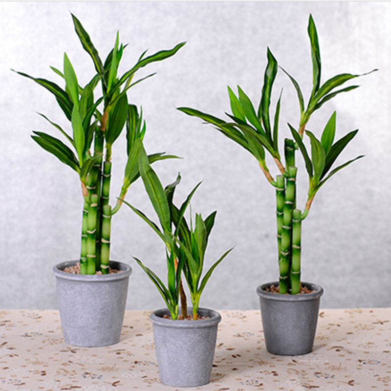 New 40cm Artificial Lucky Bamb - Aquarium Marine Plants ulasan dan harga