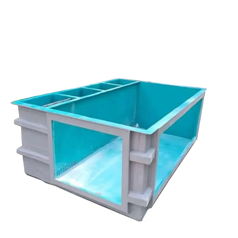 Extra Large 300-Gallon Dolphin - Marine Aquarium Exhibition ulasan dan harga