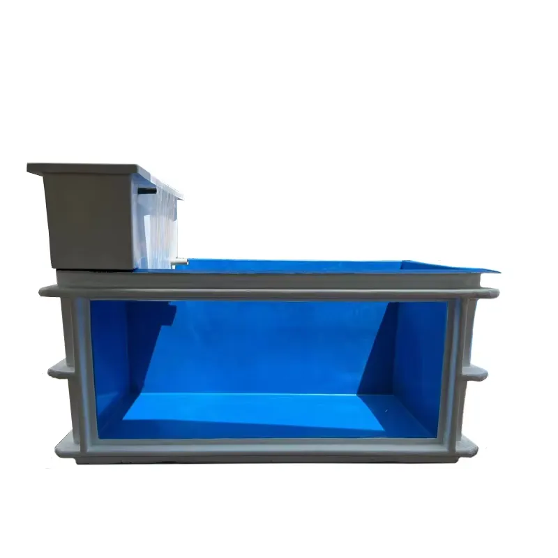 Extra Large 300-Gallon Dolphin - Marine Aquarium Exhibition ulasan dan harga