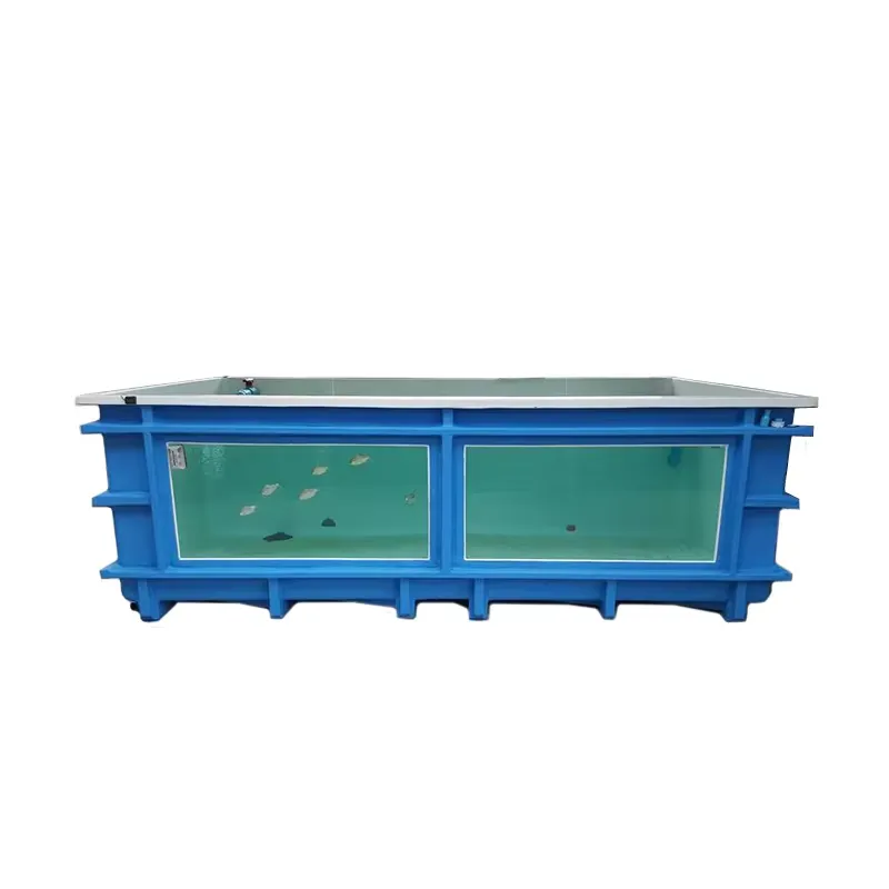 Extra Large 300-Gallon Dolphin - Marine Aquarium Exhibition ulasan dan harga