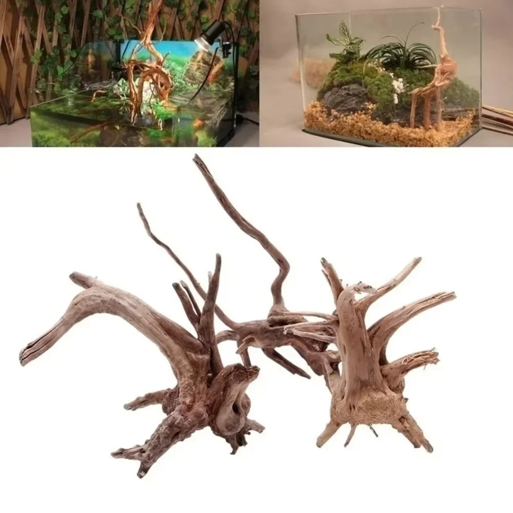 15-20CM Natural Driftwood Aqua - Aquarium Marine Fish ulasan dan harga
