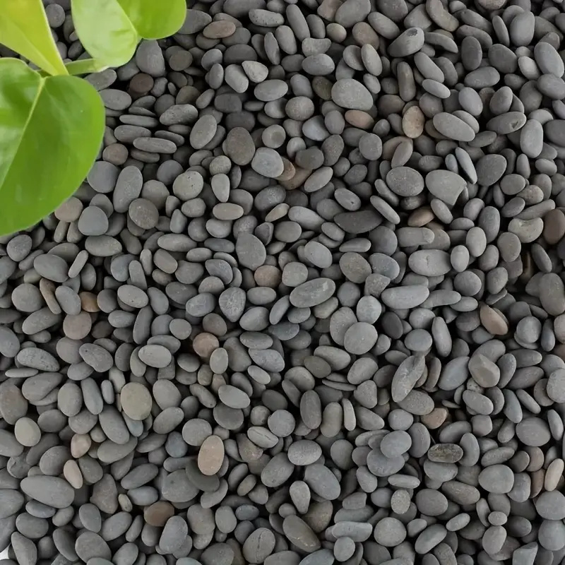 20Pcs Natural River Rocks Smoo - Aquarium Marine Fish ulasan dan harga