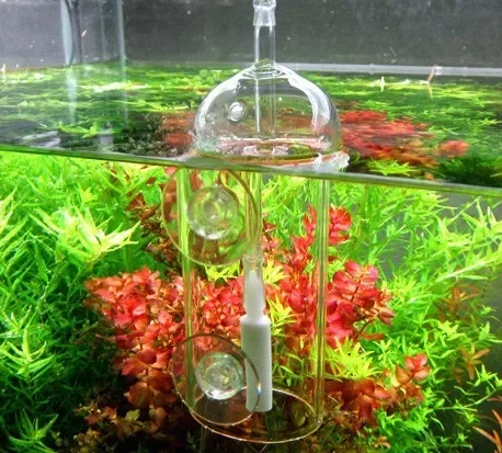 VIV Do Device Aquarium Cylinde - Aquarium Marine Plants ulasan dan harga