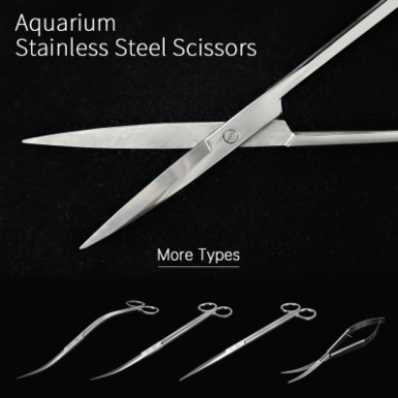 Week Aqua Stainless Steel Aqua - Aquarium Marine Plants ulasan dan harga