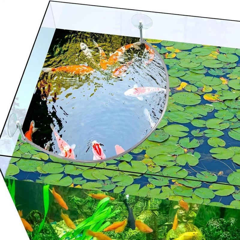 Floating Plant Corral Fish Fee - Aquarium Marine Plants ulasan dan harga