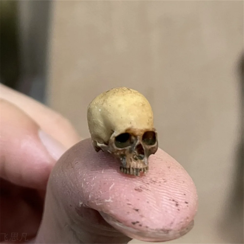 Mini Skull High Quality Miniat - Aquarium Marine Plants ulasan dan harga