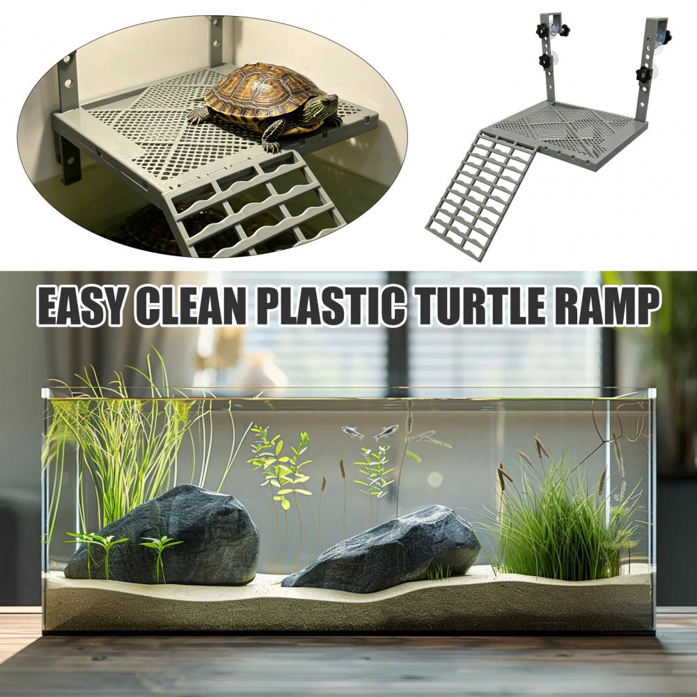 Aquarium Decoration Solid Form - Aquarium Marine Fish ulasan dan harga
