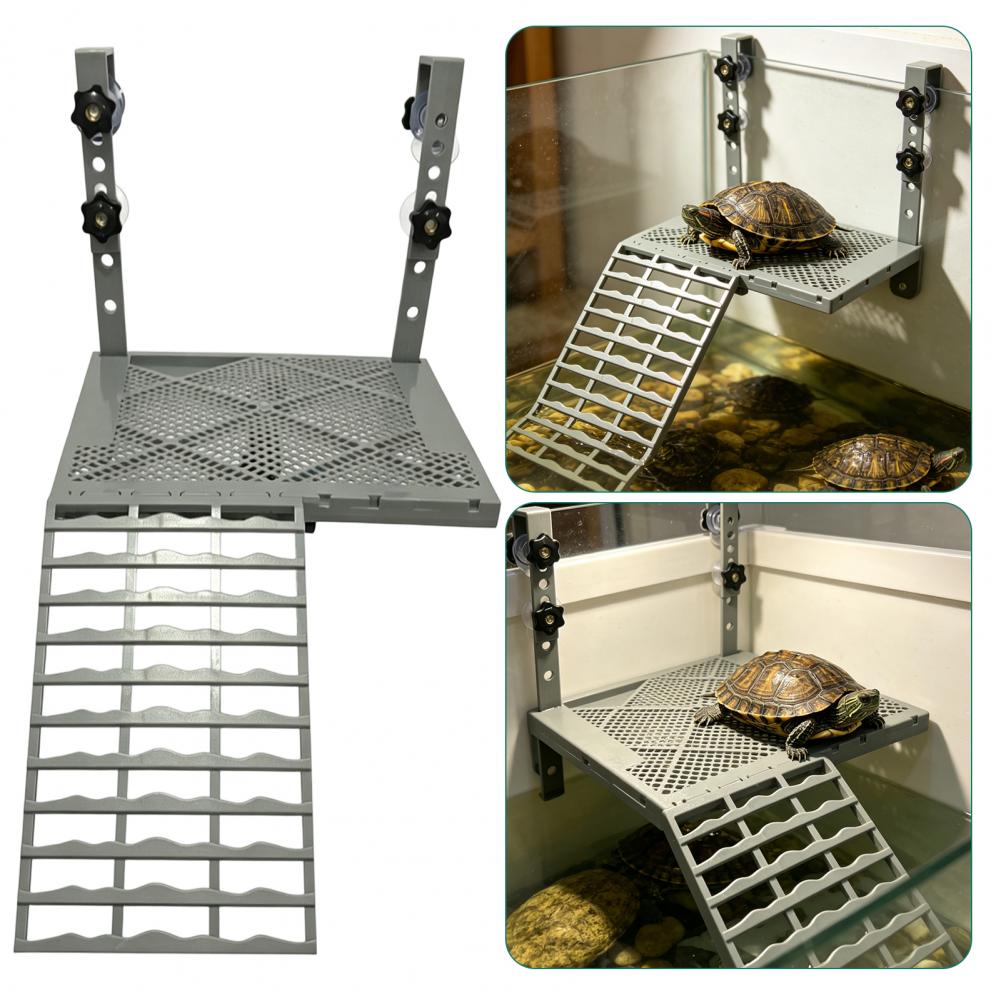 Aquarium Decoration Solid Form - Aquarium Marine Fish ulasan dan harga
